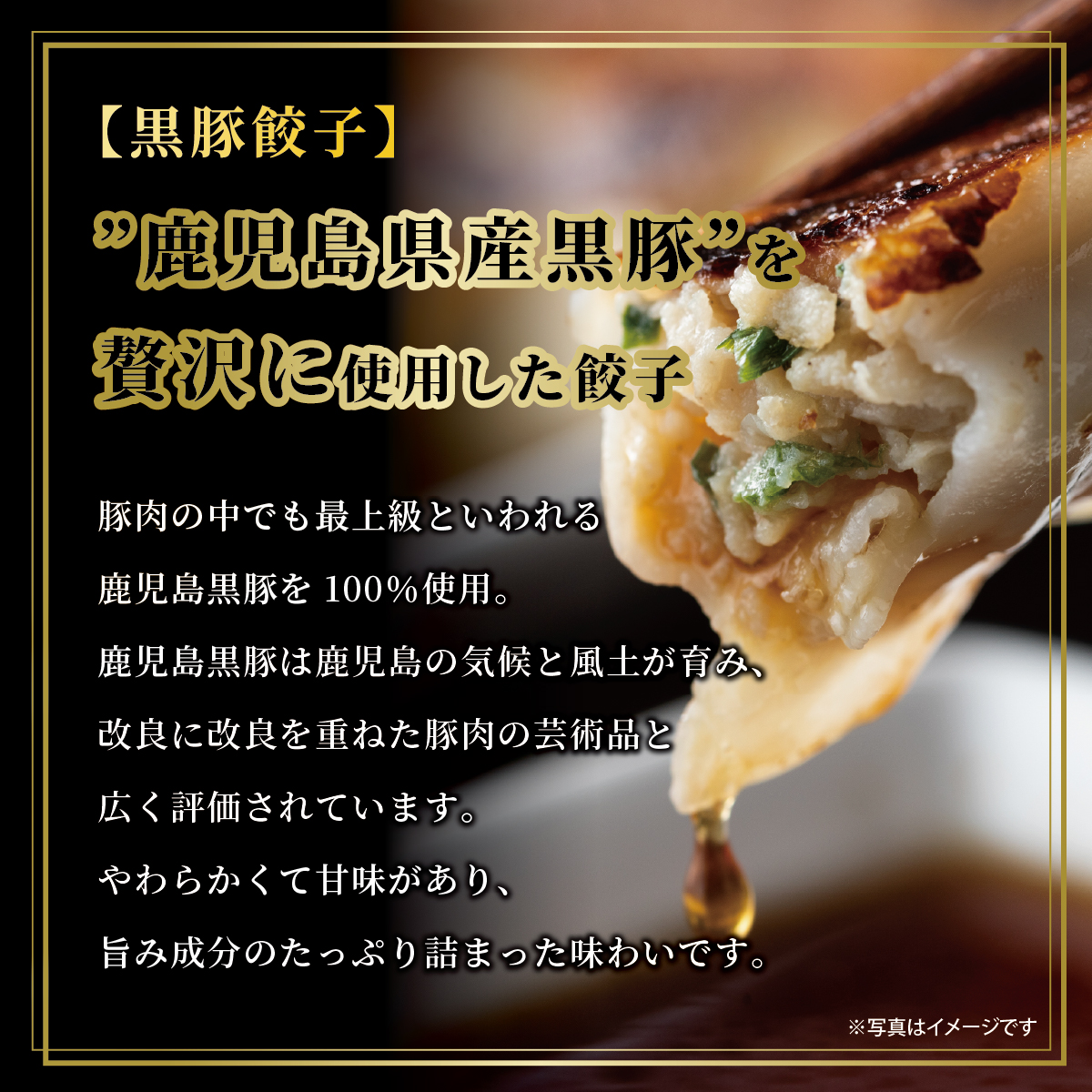 神戸牛餃子・黒豚餃子・九条ねぎ餃子 各1折セット：熨斗なし