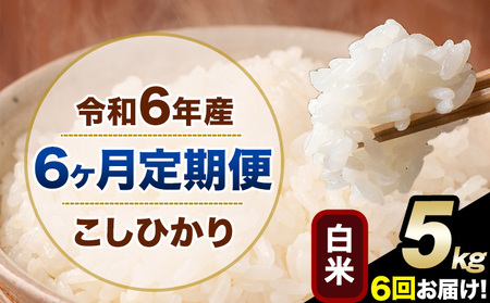 【6ヶ月定期便】令和6年産 定期便 こしひかり 白米 定期便 5kg 精米 熊本県産(南阿蘇村産含む)  南阿蘇村《申込み翌月から発送》｜人気米 熊本県産米  生活応援米