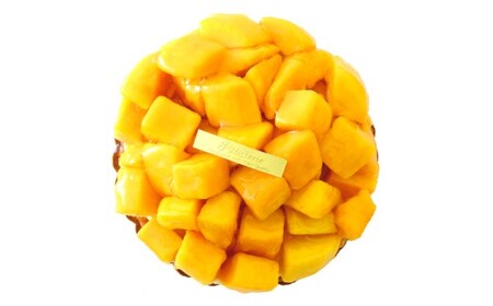 フレッシュタルト 専門店 「STYLE」 マンゴー タルト 1個（5号 15cm 約900g）贅沢なサクサク リッチなバター 濃厚なクリーム 極上のマンゴー 究極のデザート マンゴー タルト