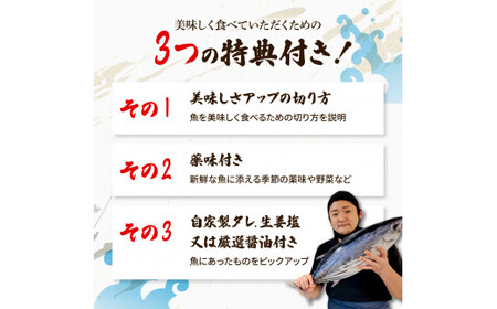 【6回定期便】違いの分かる鮮魚店店長が送る 高知のお魚定期便！！ 海鮮 魚 さかな 新鮮 カツオのタタキ 金目鯛 真鯛 ネギトロ 天然アユ など 旬 季節 定期便【さかなの森澤　マル祐】 [BQAM0