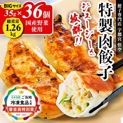ふるさと納税 宇都宮市 餃子専門店 宇都宮悟空　特製肉餃子36個入