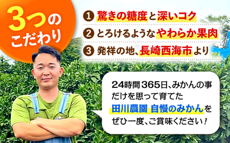 原口 みかん 約5㎏（傷み保証分200g含む）[CGR001] みかん ミカン みかん ミカン みかん みかん みかん