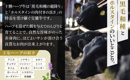 十勝ハーブ牛と北海道産ポークの大地のメンチカツ 70g×15個 国産 牛 豚 肉 牛肉 豚肉 メンチカツ 冷凍