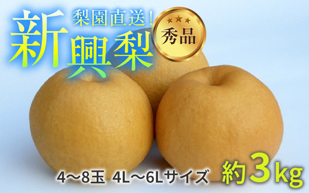 【先行予約】上野梨園の新興梨 約3kg  4L～6L【秀品】《数量限定》梨園直送！  / 期間限定 果物 フルーツ 農家直送 シャキシャキ もぎたて 旬 お取り寄せ ※2025年10月上旬より順次発送