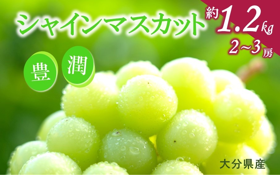 【先行予約】おおいたの豊潤シャインマスカット約1.2㎏_2609R