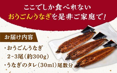 長崎県産おうごんうなぎ約300g2尾-3尾【（有）松永水産】[KAB110]/ 長崎 平戸 魚介類 魚 うなぎ 鰻 ウナギ うなぎ 蒲焼 うなぎ かばやき うなぎ うなぎ蒲焼き うなぎ おうごんうなぎ