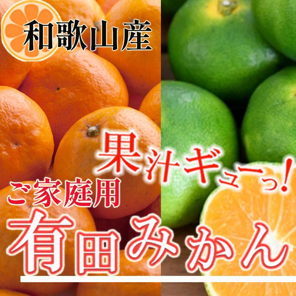 【ふるさと納税】家庭用 有田みかん5kg+250g（傷み補償分）［2025年10月上旬から2026年1月下旬頃順次発送予定］［IKE247］ | 和歌山 みかん ミカン 蜜柑 柑橘 柑橘類 かんきつ 果物 フルーツ 旬の果物 食品