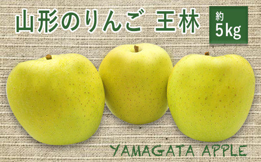 
                  【2026年発送】山形のりんご（王林）約5kg_H079(R8)
                