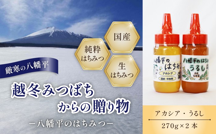 
                   【 国産純粋はちみつ 】 アカシア うるし 蜂蜜 2種 270g × 各1本 食べ比べ セット ／ あかしあ アカシヤ あかしや 漆 ウルシ 漆蜜 はちみつ ハチミツ ハチ蜜 ハニー 国産 国内産 日本産 岩手県産 八幡平市産 家庭用 自家用 プレゼント ボトル 長期保存 産地直送 おすすめ【八幡平高橋養蜂】
                