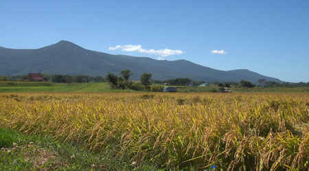 〈令和7年産〉 定期便 9ヵ月連続お届け ななつぼし 5kg 精米 北海道 共和町 お米 白米 ご飯 ライス 一粒の想い ※沖縄・離島配送不可