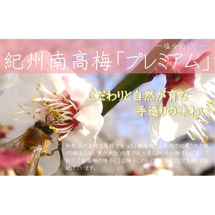 【定期便/3か月ごと/全3回】紀州南高梅プレミアム塩分約3％（850g）