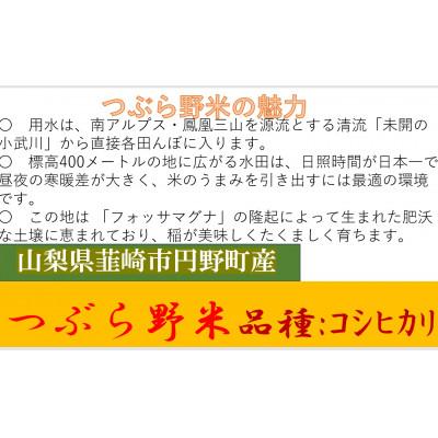 ふるさと納税 韮崎市 【毎月定期便】つぶら野米(品種:コシヒカリ) 白米3kg 定期3ヶ月(計9kg)全3回 |  | 01