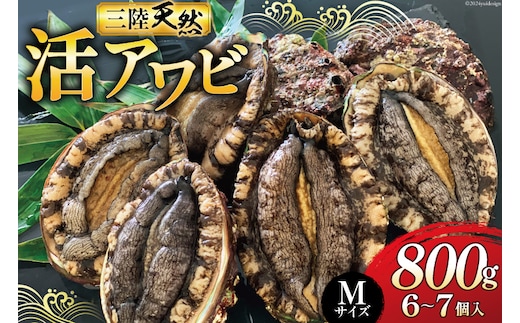 
										
										海鮮 魚介 三陸 天然 活 アワビ Mサイズ 800g(6～7個入) [マルヤ五洋水産 宮城県 南三陸町 30al0010] あわび 鮑 蝦夷あわび 貝 魚介類 冷蔵 刺身 刺し身 活き ステーキ
									