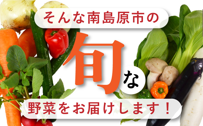 季節の野菜 15種類 セット 旬 産地直送 詰め合わせ / 野菜 南島原市 / ふるさと企画 [SBA023]