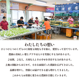 【2026年発送 】旬の梨4kg （豊水、新興、新高等）（豊水、新興、新高等）(梨 なし ナシ 秋の味覚 旬の果物 季節のフルーツ 品種名 みずみずしい 果汁たっぷり)