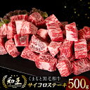 【ふるさと納税】くまもと黒毛和牛 和王 サイコロステーキ 500g×1パック ステーキ 牛 牛肉 肉 国産 冷凍 熊本県産 送料無料