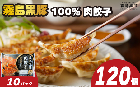 霧島黒豚餃子 120個 冷凍 小分け 餃子 IR 