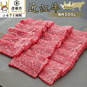 【ふるさと納税】焼肉500g《近江牛A5ランクメス牛一頭買い　みのや》 | 牛肉 肉 お取り寄せ 高級 ブランド牛 滋賀県 国産 黒毛和牛 日本三大和牛 贈答 ギフト