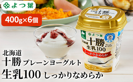 よつ葉 「北海道十勝プレーンヨーグルト 生乳100 しっかりなめらか」400g×6【 よつ葉 北海道十勝プレーンヨーグルト 生乳100％ タンパク質 菌 効果 腸活 レシピ 食べ方 アレンジ 水切り はちみつ 違い やわらか 北海道 十勝 幕別 】