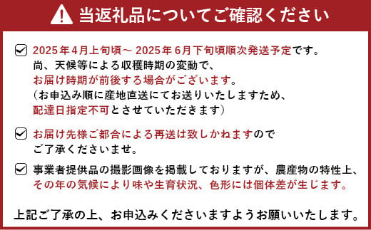 【先行予約】 恋する 不知火 約2kg 訳あり品 【御舩果樹園】【2025年4月上旬から2025年6月下旬発送予定】果物 くだもの フルーツ 柑橘 しらぬい 国産