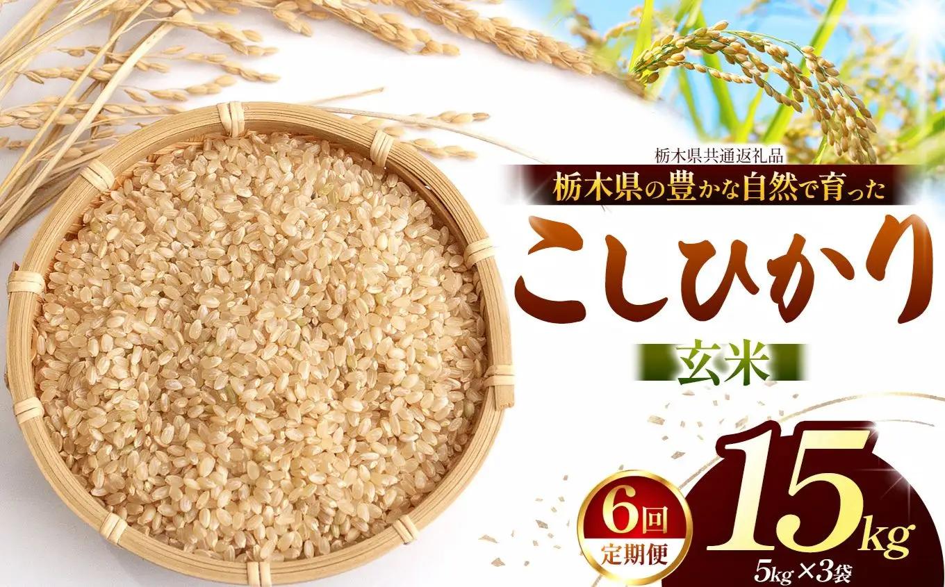 【栃木県共通返礼品】【定期６回】【令和８年度産】コシヒカリ 15kg お米 米 | 栃木県 那珂川町 送料無料