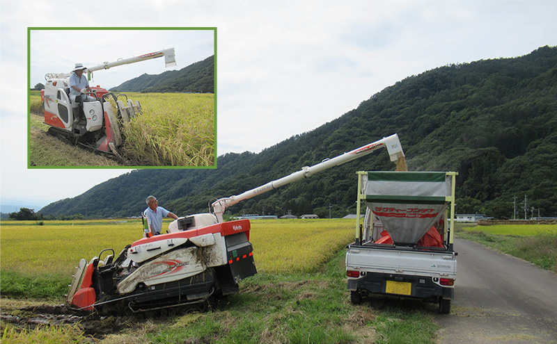 米 令和7年 関口さんちのお米 コシヒカリ 3kg お米 こめ コメ 精米 白米 ご飯 こしひかり 長野 信州
