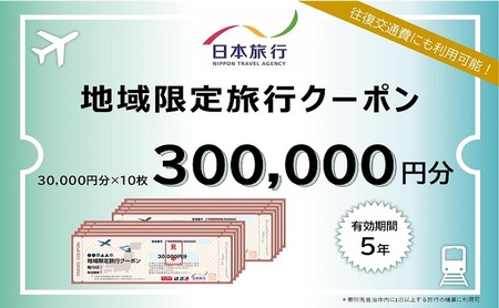 トラベルクーポン 日本旅行 地域限定旅行クーポン300 トラベルクーポン