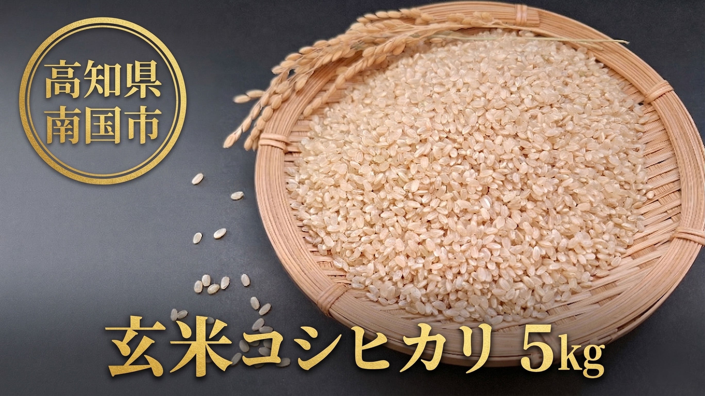 玄米 コシヒカリ 5キロ 5㎏ 数量限定 米 コメ お米 ご飯 おにぎり こめ 令和8年度 農家直送 産地直送 ふるさと納税  高知県 南国市