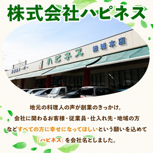 鹿児島県産 豚 バラエティー セット スライス 豚ミンチ 冷凍 (合計1.5kg) 【ハピネス】A927