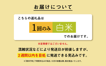 《先行予約》 白米 あきたこまち 令和7年産 30kg(5kg×6)  5kg袋 小分け 米 グルメ ふるさと こめ コメ 一人暮らし  【秋田のこまち農場】