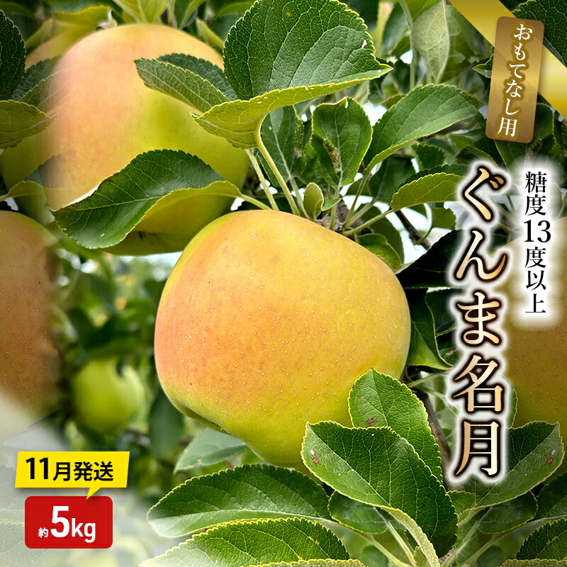 【ふるさと納税】りんご【11月発送】糖度13度以上 ぐんま名月 おもてなし用 家庭用 約5kg 【青森りんご】　お届け：2025年11月20日頃～2025年11月30日