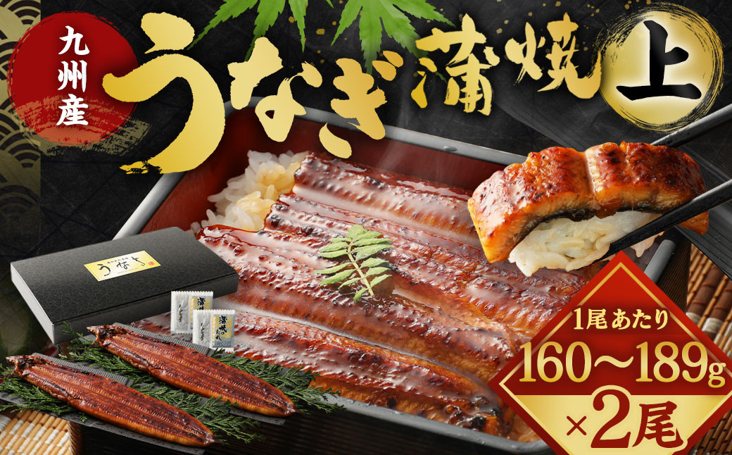 
            九州産 うなぎ 蒲焼 上 2尾 (1尾あたり160～189g)
          