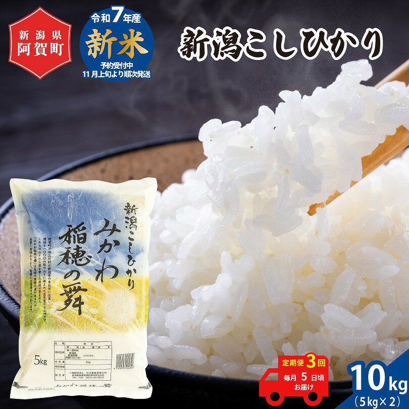 【ふるさと納税】 《先行予約》 ＜定期便 3回＞ 米 10kg 《 新潟県産 コシヒカリ みかわ稲穂の舞 》 令和7年産 5kg × 2袋 阿賀 三川 | 毎月 こしひかり 白米 精米 送料無料 お取り寄せ お米 金賞受賞 ※2025年11月上旬頃より順次発送