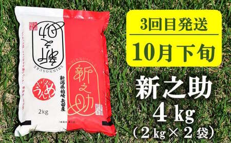 【先行予約・令和8年産新米定期便・8月下旬～発送】新潟米 3種食べ比べ 無洗米 4kg×3回（計 12kg）葉月みのり・コシヒカリ・新之助 水田環境鑑定士在籍[Y0197]