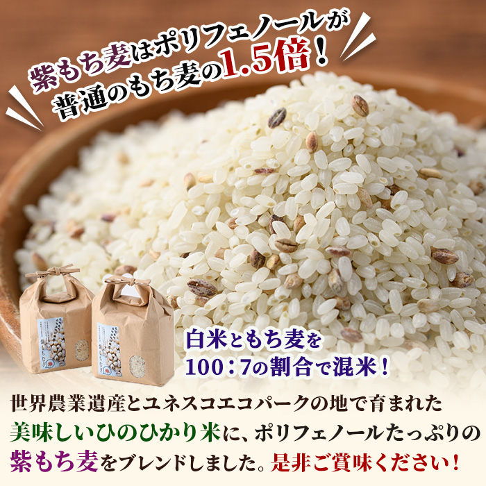 ＜令和5年産＞宮崎県日之影町産もち麦米(900g×5袋) 【AF001】【株式会社ひのかげアグリファーム】