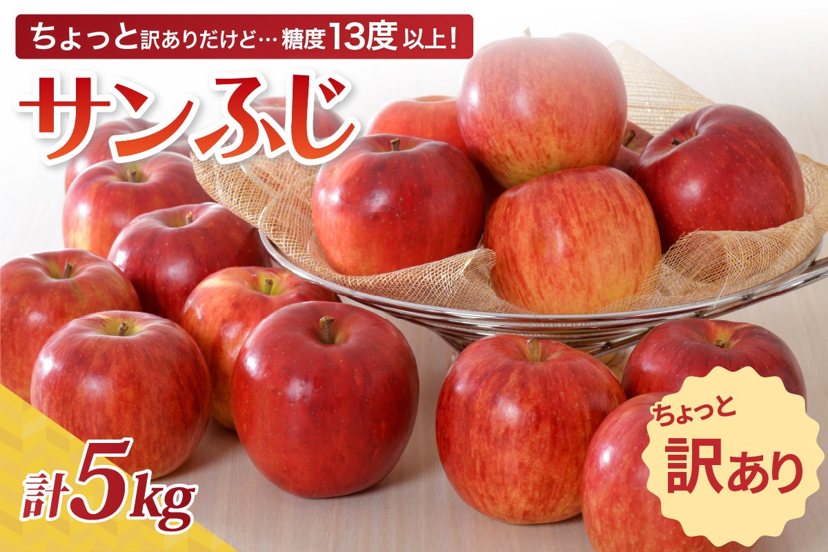 
             【 2025年 先行受付】りんご 訳あり 【選べる配送時期】約 5kg サンふじ 青森産 11月 12月 1月 2月 3月 青森りんご 五所川原りんごサンふじ サンふじりんご さんふじ 家庭用 リンゴ ringo
          