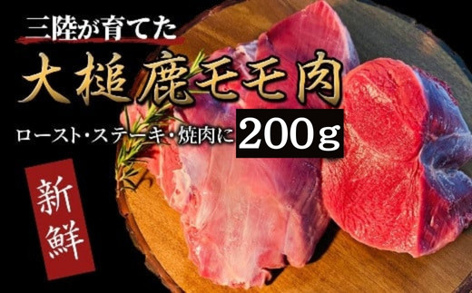 【ジビエ】大槌産 鹿肉（モモ肉 200g）｜岩手県 大槌ジビエ いわて iwate 三陸 MOMIJI