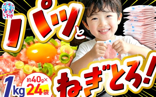 【2026年3月発送】ねぎとろ 約1kg（約40g×24パック） ｜ ネギトロ 簡単 調理 いわき市 福島県 小分け 冷凍 個包装 使い切りパック 1人前 まぐろたたき まぐろ