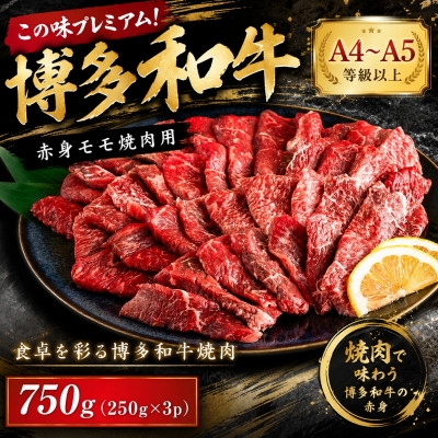 
                  この味プレミアム!【A4～A5】博多和牛赤身モモ焼肉用　750g(250g×3p)(大野城市)【1770966】
                