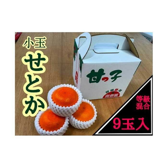 【ふるさと納税】【選べる箱数】甘っ子 小玉 ハウス せとか 9玉入×1～2箱 手さげ箱 南泰園 | 柑橘 ハウス栽培 小玉 せとか フルーツ ギフト 贈答用 人気 おすすめ 柑橘類 果物 旬 ふるさと納税