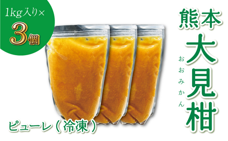 熊本大見柑ピューレ 冷凍 1kg  3個