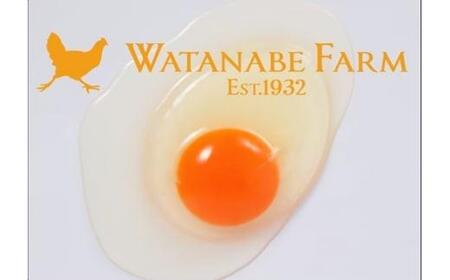 [ふるなび限定企画][平飼い卵食べ比べ] 平飼い有精卵あかり・平飼い卵いろは 各15個 合計30個