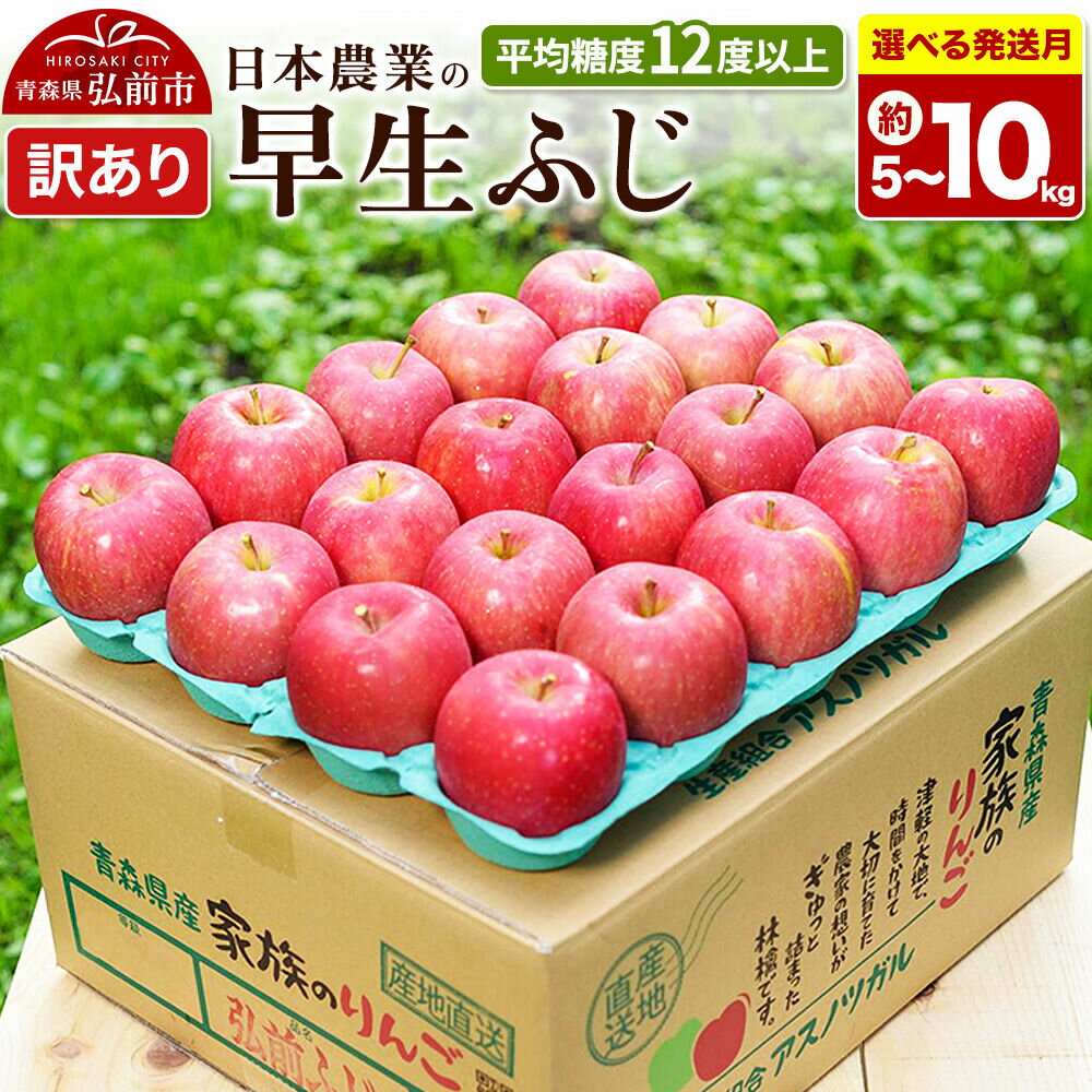 【ふるさと納税】りんご【選べる26年 10月／11月 発送】早生ふじ【訳あり】【選べる約 5kg／10kg】平均糖度12度以上 青森 果物 フルーツ 林檎 リンゴ くだもの 不揃い 規格外 [先行受付 家庭用 産地直送 アップル 青森県 弘前市]