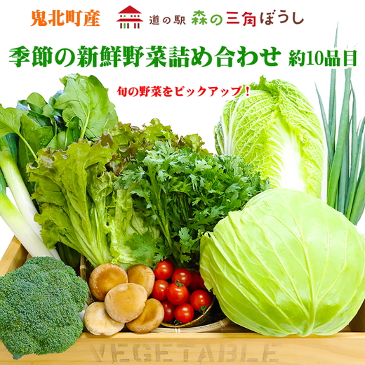 季節の新鮮野菜詰め合わせ　＜野菜 やさい 詰め合わせ 新鮮 旬 季節  愛媛県 鬼北町＞