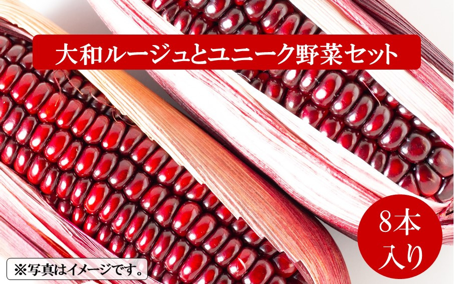 
            【令和8年7月～8月発送】上田農園の赤とうもろこし（大和ルージュ）とユニーク野菜_2380R
          