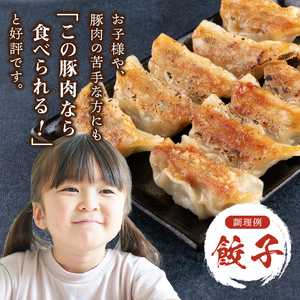 クリスタルポーク挽き肉500g