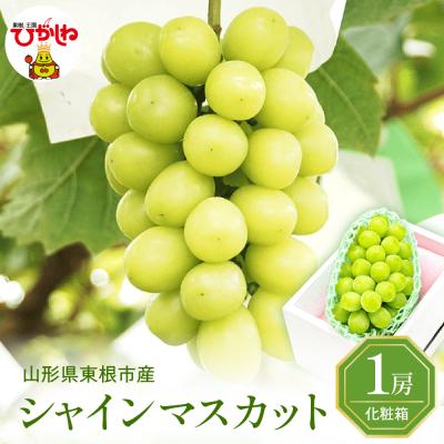 ふるさと納税 東根市 2026年ぶどう「シャインマスカット」1房(約600g) 東根農産センター提供 hi027-233