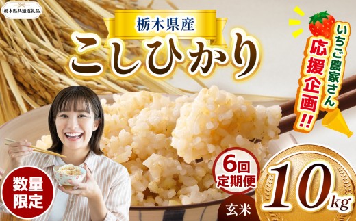 【栃木県共通返礼品】【先行予約】【定期6回】 訳あり 定期便 数量 限定 令和8年度産 コシヒカリ こしひかり 約 10kg| こしひかり コシヒカリ 定期便 okome kome 日本米 栃木県産 ご飯 米 お米 玄米 白米 ごはん おいしい  ふるさと納税 那珂川町 栃木県 送料無料