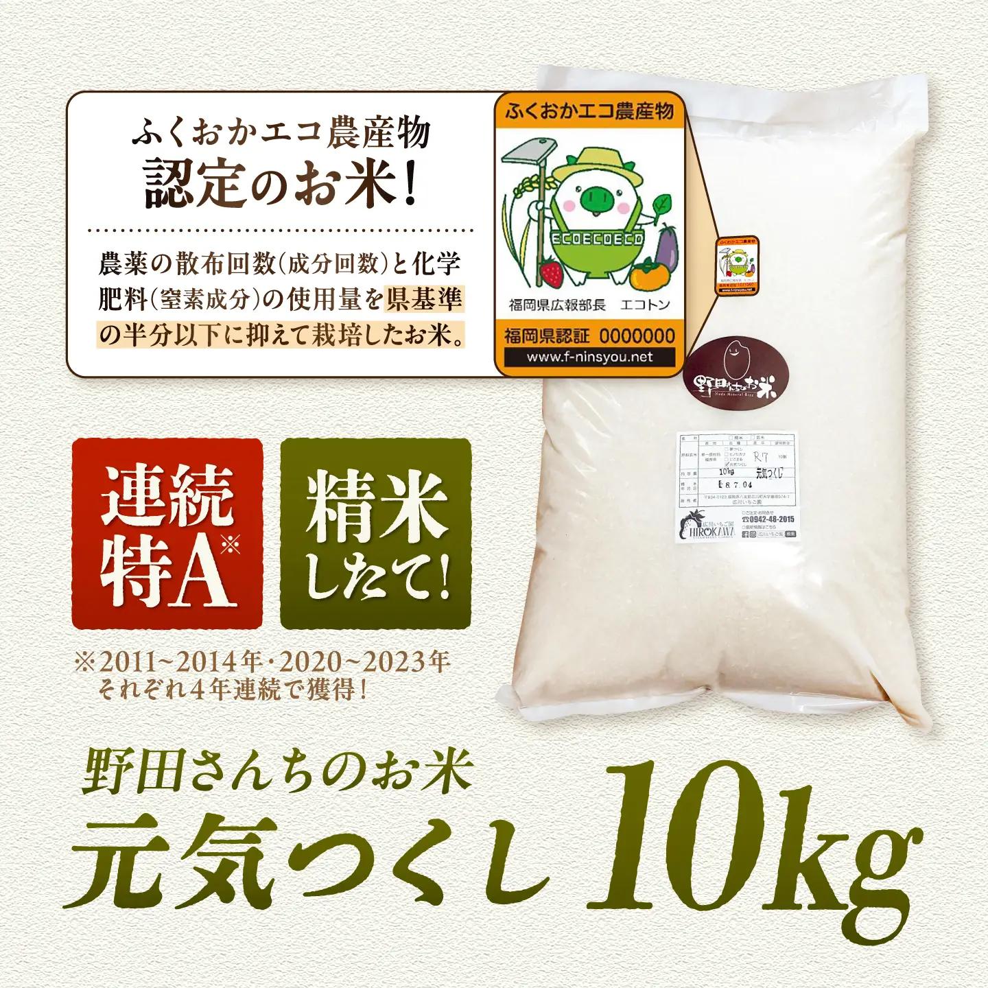 野田さんちのお米 元気つくし 10kg 広川町 / 広川いちご園[AFCO001]