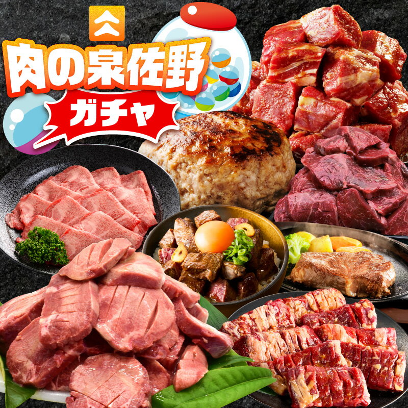 【ふるさと納税】期間限定 肉 ガチャ 1万円 牛タン ハラミ ハンバーグ ステーキ カルビ 切り落とし 食べ比べ セット 焼肉 冷凍 おかず 晩酌 おつまみ グルメ 贅沢 詰め合わせ 何が届くかお楽しみ 人気 おすすめ 運試し 限定 大阪府 泉佐野市 送料無料